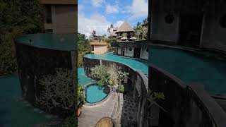 One of our favourite places in Bali. Check our video guide! #Bali #kayonjungleresort #WannaJungleSpa