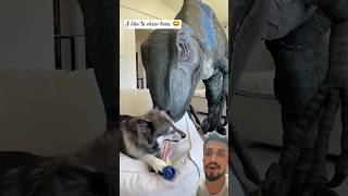 Funny Video 😂 Dog like to cheer bone #dinosaur #trending #youtubeshorts #funny #dog #comedy