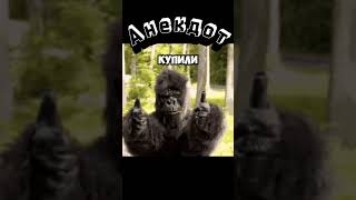 Анекдот. Бабулька с Дедулькой. #shorts #юмор #шутки #анекдот