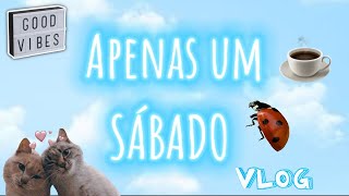 Apenas mais um sábado #vlog #shorts