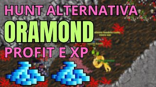 TIBIA - HUNT ALTERNATIVA ORAMOND 150+ PROFIT E XP - RUBINOT