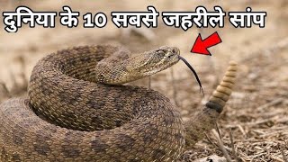 दुनिया के 10 सबसे जहरीले सांप Top 10 Most Venomous Snakes in the World#trending #viral