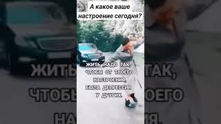 Чтоб всем так жить)))