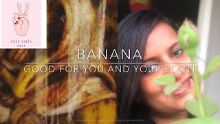 Banana-Good For You And Plants |Banana Peel Water Fertiliser