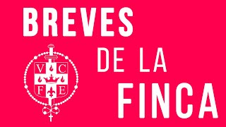 Breves de la Finca #1