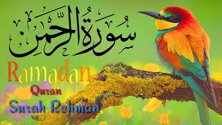 Surah Rehman | Recitation | Complete  |rehman no55 eapisode:sr245 | سورۃ الرحمن | تلاوت قران | 🔥