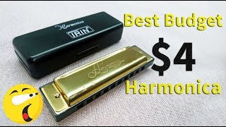 IRIN 10 Hole Harmonica: $4 Budget Harmonica for Beginners