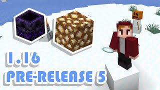 Snowball Fights And More Fixes! (Minecraft 1.16 Pre-Release 5)