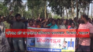 GTv Bangla.24 News//3/3/2024//হবিগঞ্জে ৪টি চা বাগানের শ্রমিকদের মানববন্ধন, বিক্ষোভ, সমাবেশ