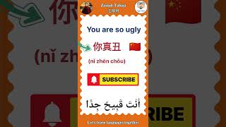 #tigermum#zainabtabaja learn together, English/Chinese/Arabic, you're so ugly👹