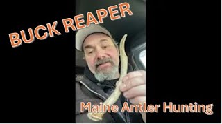 Maine Antler hunting & scouting -  Buck Reaper