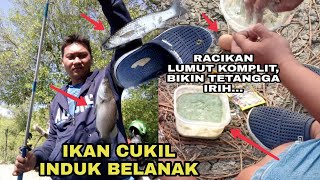 MANCING LIAR SURABAYA POS 7 PAKUWON‼️SPOT MANTAP SURABAYA | IKAN CUKIL DAN INDUK BELANAK