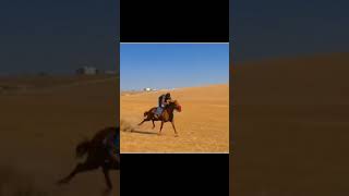 ماشاء اللّٰه على السرعة🔥🐎🐎