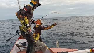 MANCING DASARAN  IKAN GIANT TRAVELY|| JEMPONG MANCING#JM-35