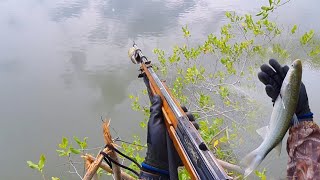 Banyak banget ikan disini akibat  laut jebol ke Pertambakan