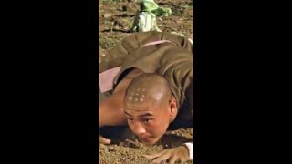 Shaolin Catch Frog Funny Kung Fu #shorts