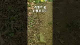 산림정원 라엘의 숲  #산책로