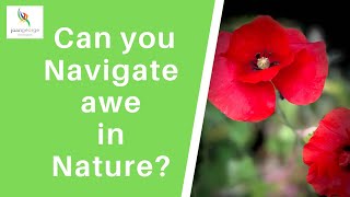 Can you Navigate awe in Nature?