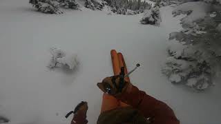 big white opening day