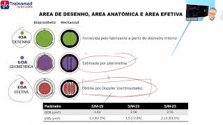 Área de desenho, Área Anatômica e Área Efetiva