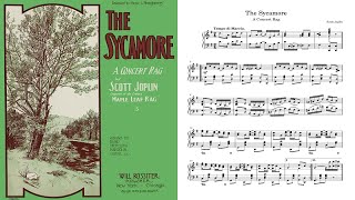 Scott Joplin - The Sycamore (1904)