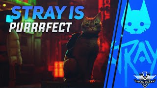 Why I Adore Stray | Spoiler-Free Review