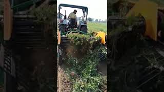 National Groundnut Digger Machine Working