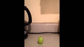 How to hide a grape