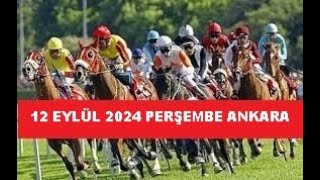 12 EYLÜL 2024 PERŞEMBE ANKARA AT YARIŞI TAHMİNLERİ VE YORUMLARI