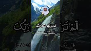 QURAN RECITATION SURAH AL FEEL/FIL RECITER SHAIKH YASSER AL-DOSARI | قرآءة قرآن سورة الفيل