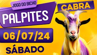 PALPITE DO DIA 06/07/2024 - JOGO DO BICHO 🍀 TODAS AS LOTERIAS 🍀