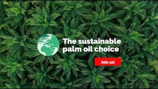 The Sustainable Palm Oil Choice