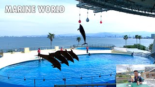 MARINE WORLD | DOLPHIN SHOW | PIZZA EATING | マリンワールド海の中道