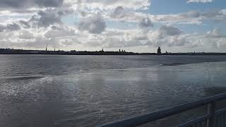 Liverpool Mersey - birds hovering in the oncoming strong wind