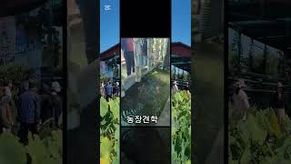 남원시 명품농업대학 농업치유반 평택 로렌츠 치유농장 현장학습 #명품농업대학 #농업치유반 #로렌츠치유농장