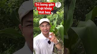 Trị bong gân trật khớp rất hay