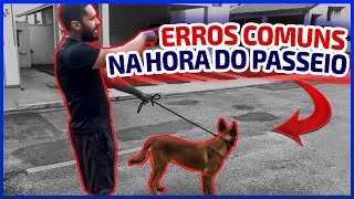 3 dicas para ensinar seu Cachorro parar de puxar a guia