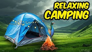 Rain Camping with Peacock Symphony