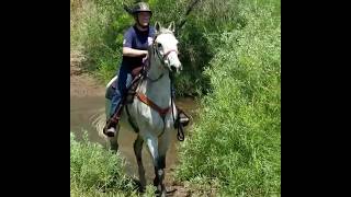 Water, Streams & Mud - The Cavallo Trek Hoof Boot LOVES it all!