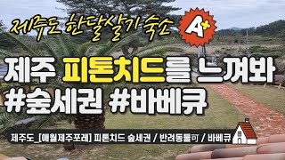 제주도 #한달살기 숙소_[애월제주포레] 피톤치드 숲세권 / 반려동물可 / 바베큐