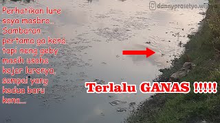 SAMBARAN GABUS TERGALAK !!! | Casting Snakehead