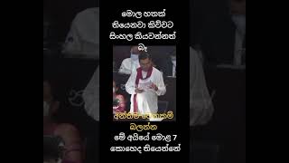 මේ මේ මොල හත කොහෙද තියෙන්නේ#miksyard