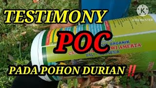 UJI COBA POC PADA POHON DURIAN YANG KENA PENGGEREK BATANG‼️