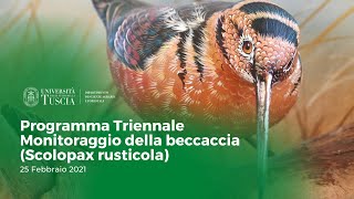 🖥️ Programma Triennale Monitoraggio della Beccaccia | 25 Febbraio 2021