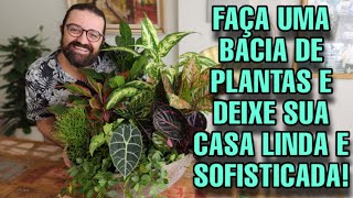 Arranjão de plantas ornamentais para decorar sua casa ou apartamento - SUPER BACIA