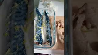 #asmr# sea fish#my own version marinated#normindapdeleon