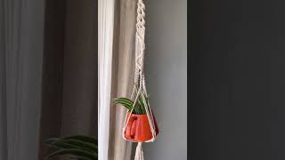 Macrame plant hanger #macrameplanthanger #macrametutorial #macramecrafts #macramelover #planthanger