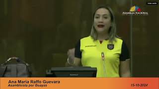 Ana María Raffo | Intervención Pleno nro. 969 | 15 de octubre de 2024 | Codificación de la #LOEI.