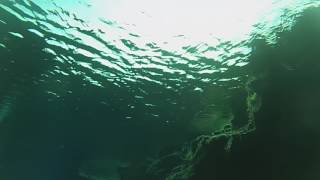 Scuba diving the Silfra gap, Iceland