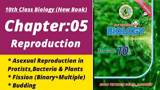 Types of Asexual reproduction Class 10 | Biology class 10 chapter 5| Class 10 new biology book